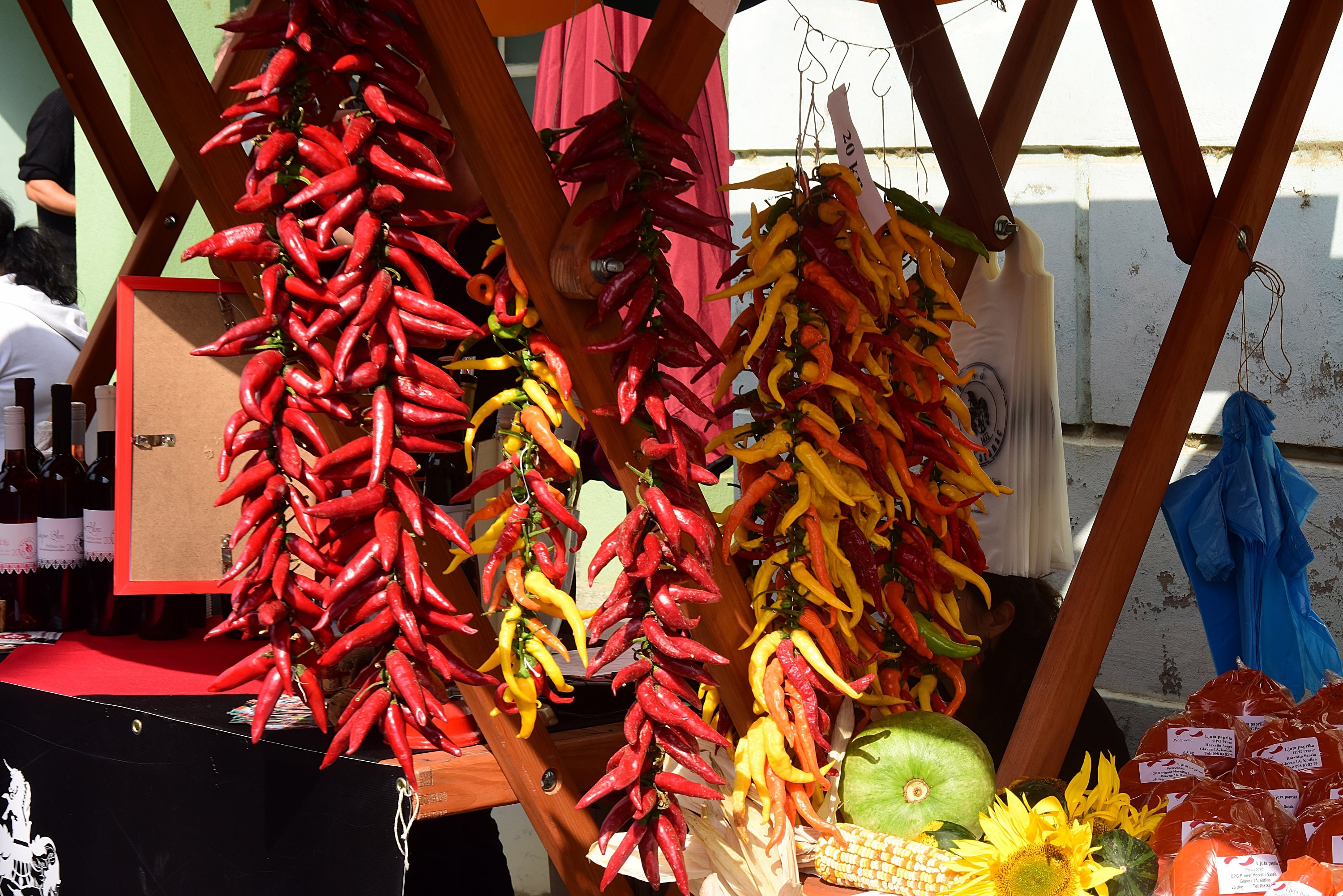 Ribarski dani u Kopačevu 