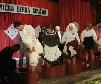 Stupnička berba grožđa