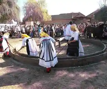 Ižimača u Beravcima