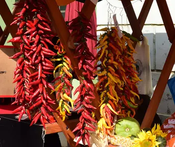 Ribarski dani u Kopačevu 