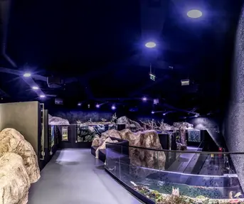 Aquatika nagrada Brand Leader Award 2018