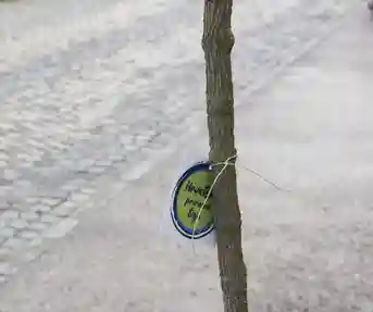 Sadnja Topusko