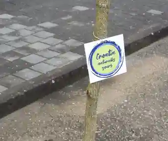 sadnja Topusko